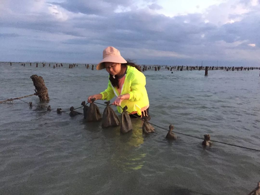 这，就是女神｜梁萍萍：立志振兴南珠的“养珠人”