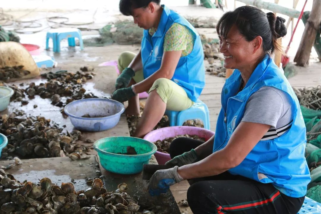 这，就是女神｜梁萍萍：立志振兴南珠的“养珠人”