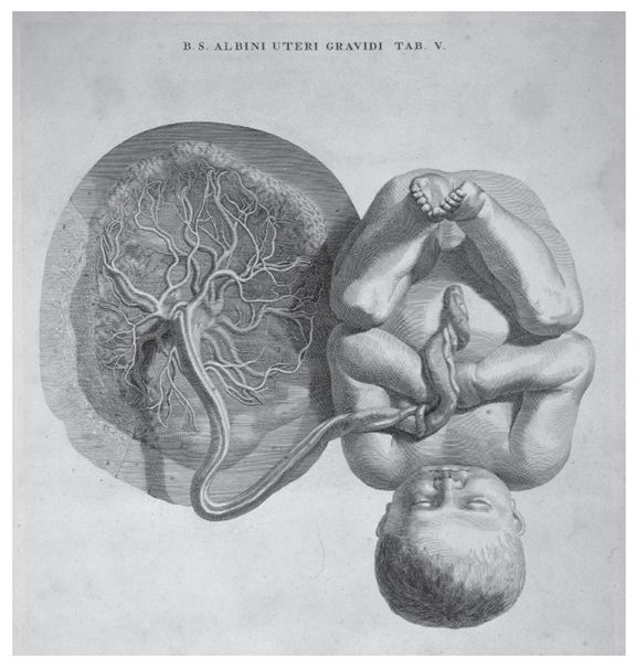 你是怎么来到这个世界的,不信你不好奇……|认识身体