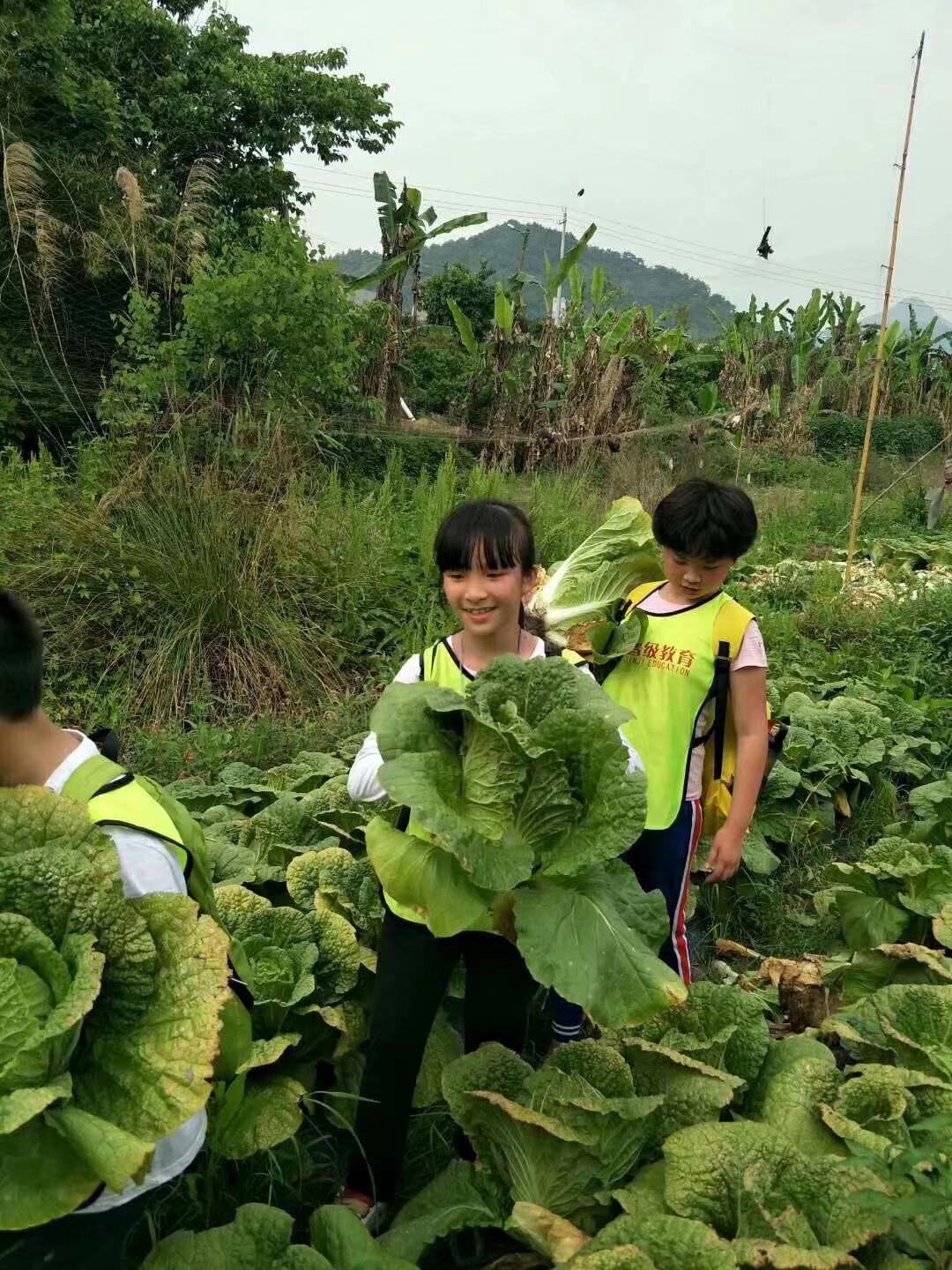 课后托管班加盟,课后托管加盟广州