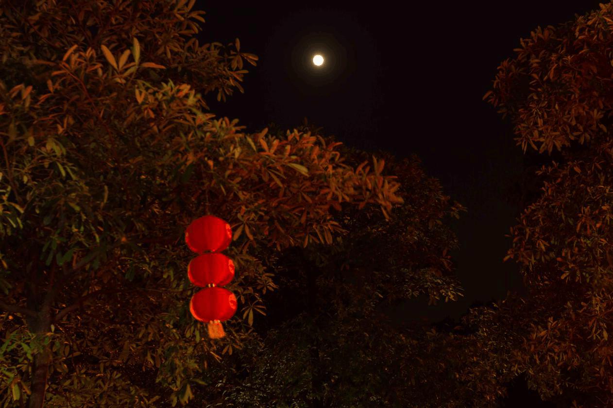 广州免费五星级景点,广州300元以内旅游景区