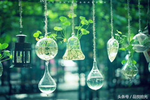 淡淡的日子静静的过,淡淡的日子淡淡的过什么意思