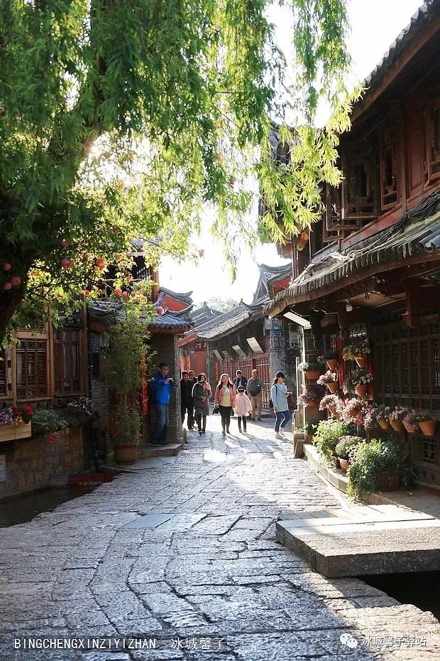 为什么要去大理才算爱得认真,为什么要去丽江古城旅游