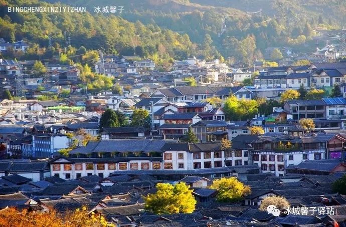 为什么要去大理才算爱得认真,为什么要去丽江古城旅游