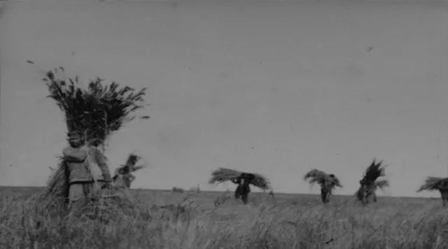 庆祝改革开放40年的视频,农场改革开放40周年