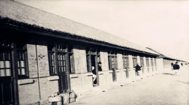 庆祝改革开放40年的视频,农场改革开放40周年