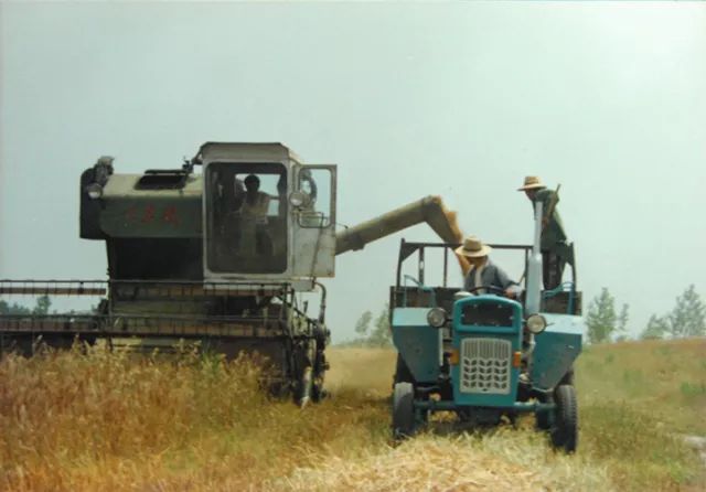 庆祝改革开放40年的视频,农场改革开放40周年