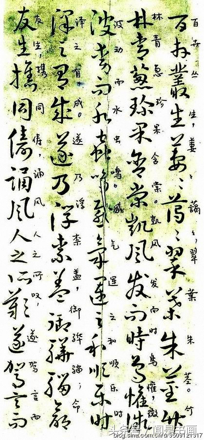 曹植章草,曹植野田黄雀行名句