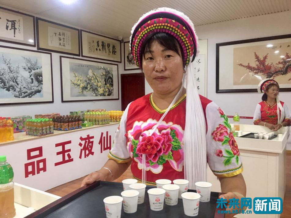 大理洱源梅子的经济价值,云南洱源梅子