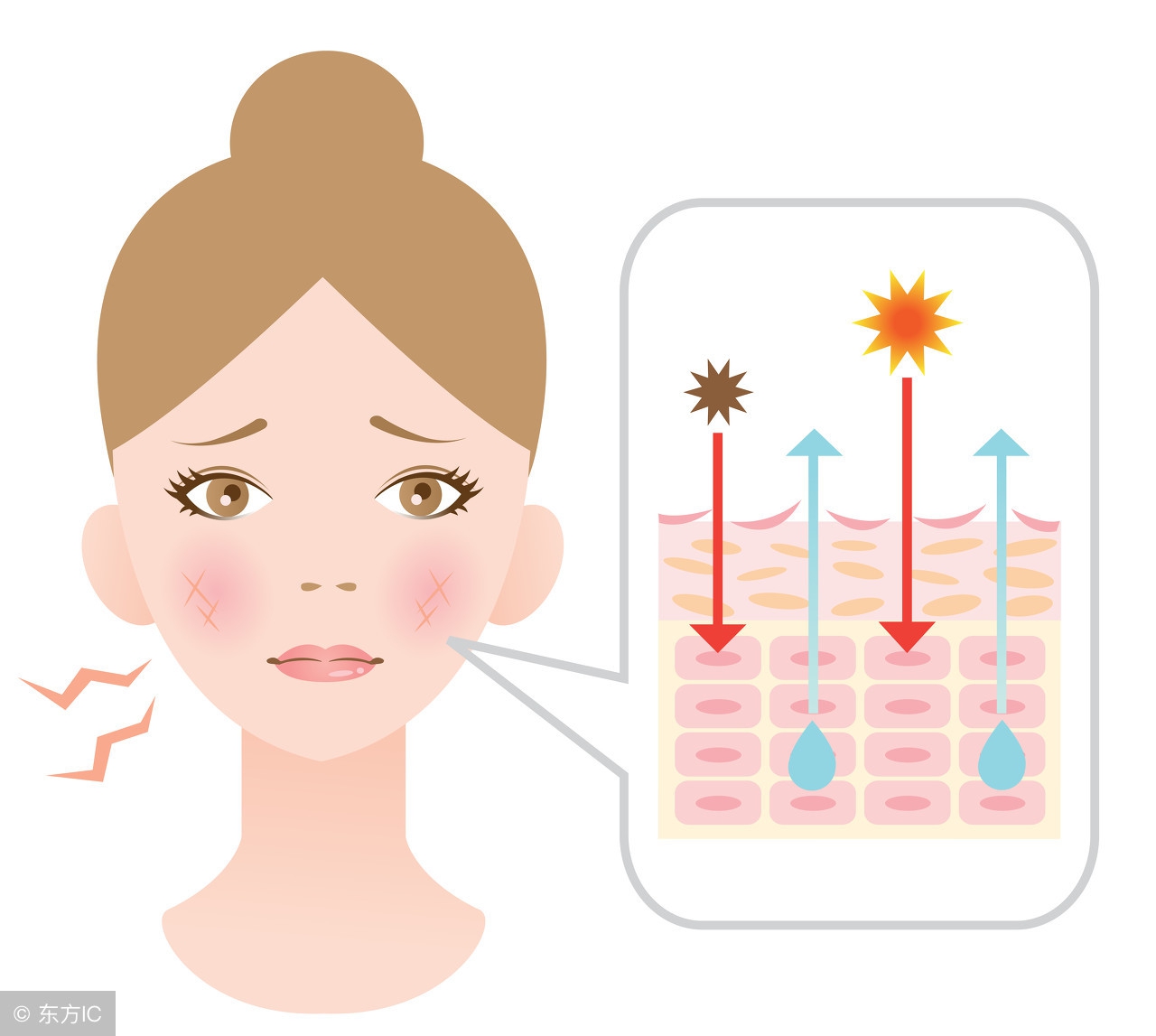 夏天为何容易气血不足？老中医：女人只有养于内，才能美于外！