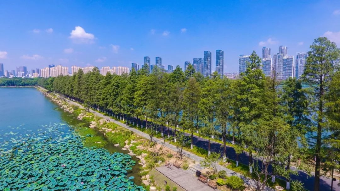 东湖精心定制了一份最美礼物，将闪亮军运会宾客的眼睛