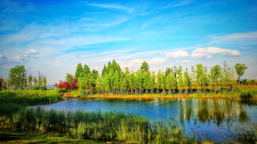 东湖精心定制了一份最美礼物,将闪亮军运会宾客的眼睛