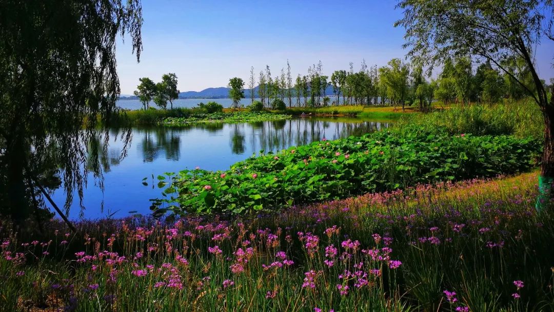 东湖精心定制了一份最美礼物,将闪亮军运会宾客的眼睛