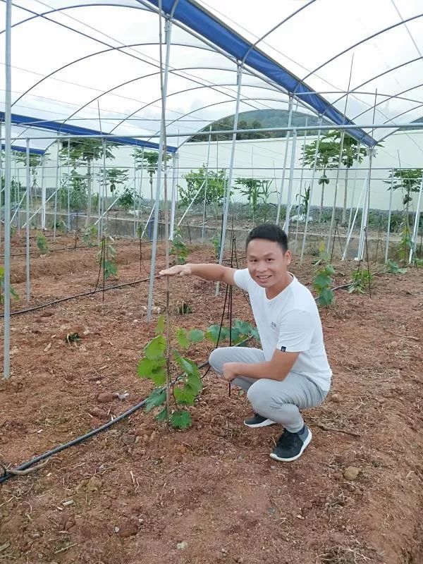 鼓励青年人才投身乡村振兴,引领青年人才建功乡村振兴