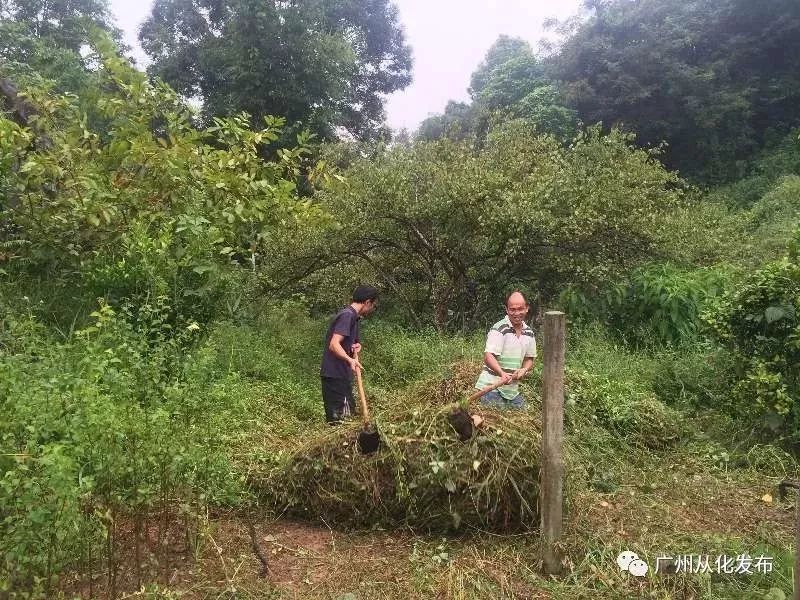 鼓励青年人才投身乡村振兴,引领青年人才建功乡村振兴