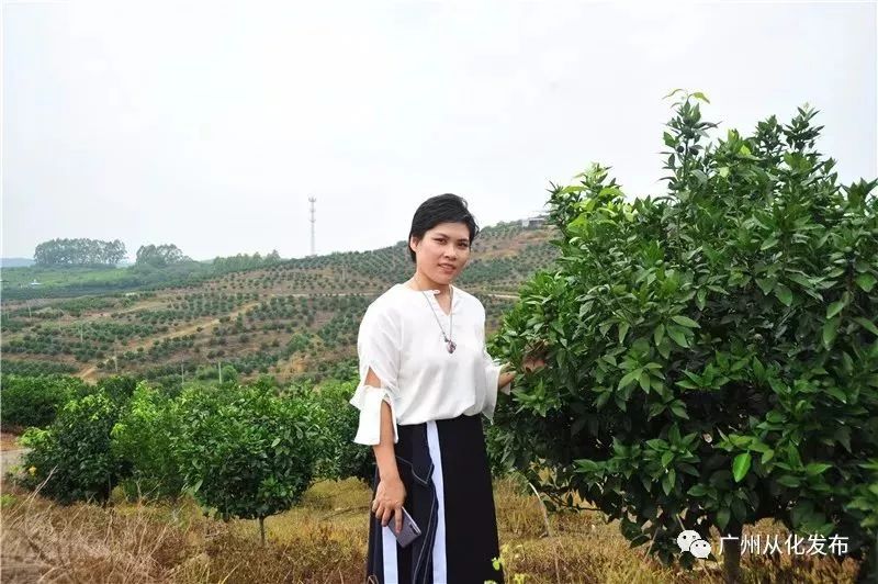 鼓励青年人才投身乡村振兴,引领青年人才建功乡村振兴