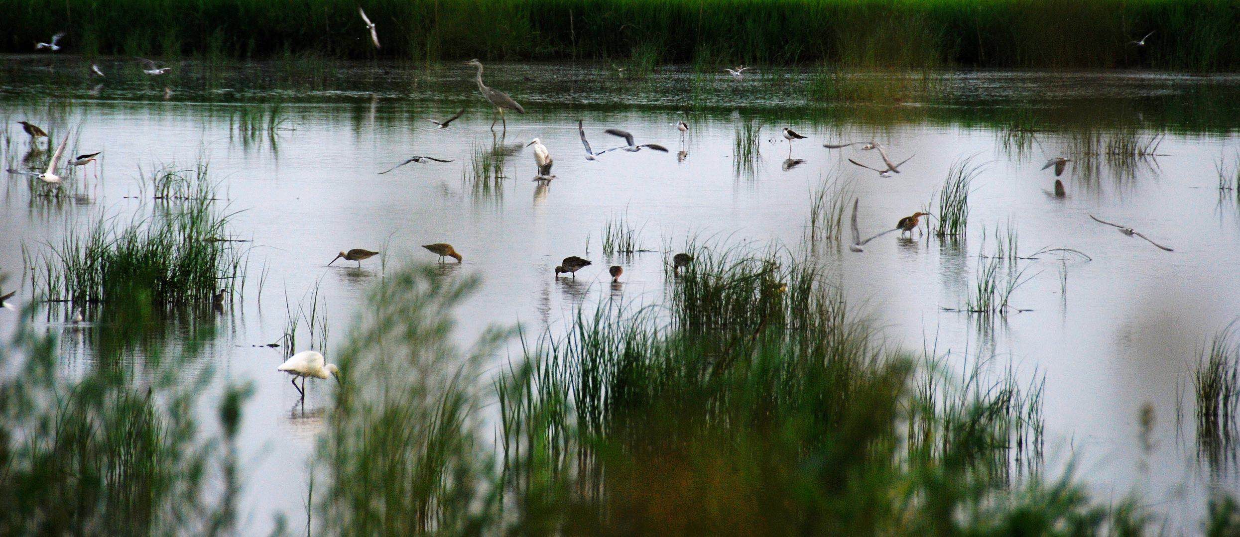 唐山文旅曹妃甸,曹妃甸元旦去哪里玩