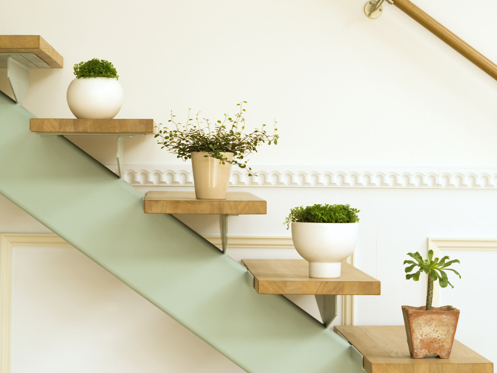 用完整的香烟泡水浇花,香烟水浇花的作用