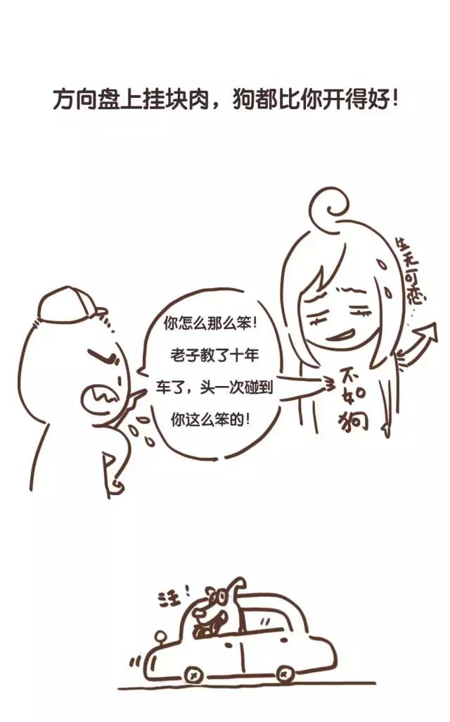 你们都听过驾校教练的哪些金句,驾校教练都说过什么话呀