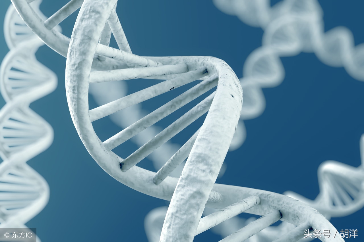 靶向药物使用前一定要做几千块钱的检查吗?不做检查可以用药吗