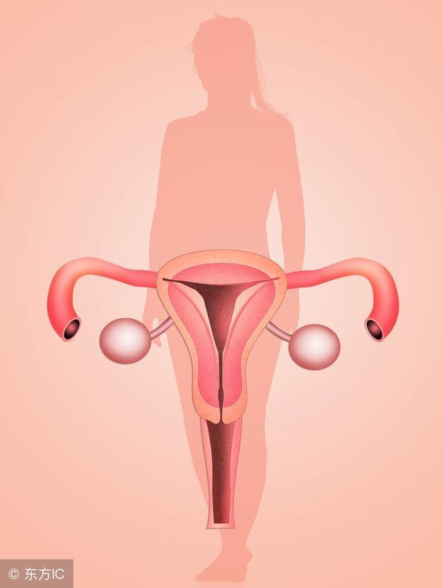 宫颈癌发生骨转移有哪些症状,宫颈癌病变会转移到哪里