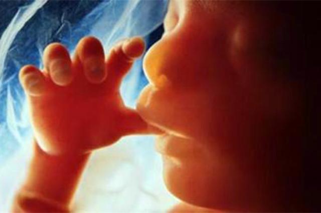 孕晚期胎儿晚上频繁胎动白天不动,孕晚期胎儿可以感受到胎动吗