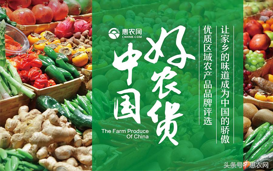 农业互联网的六种模式,农业互联网的十大模式