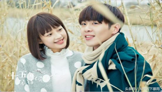 《十五年等待候鸟》青春已过,再来温习一次“候鸟的约定”