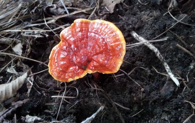 周公解梦:梦到这些场景,预示你将要过上富裕生活,令人羡慕!