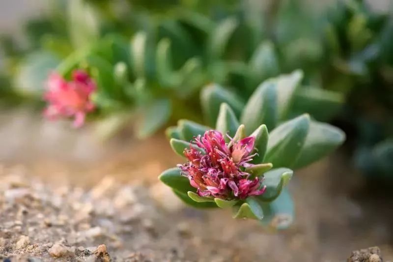 又是一个加班的夜晚放松一下心情,又是一个加班的周末