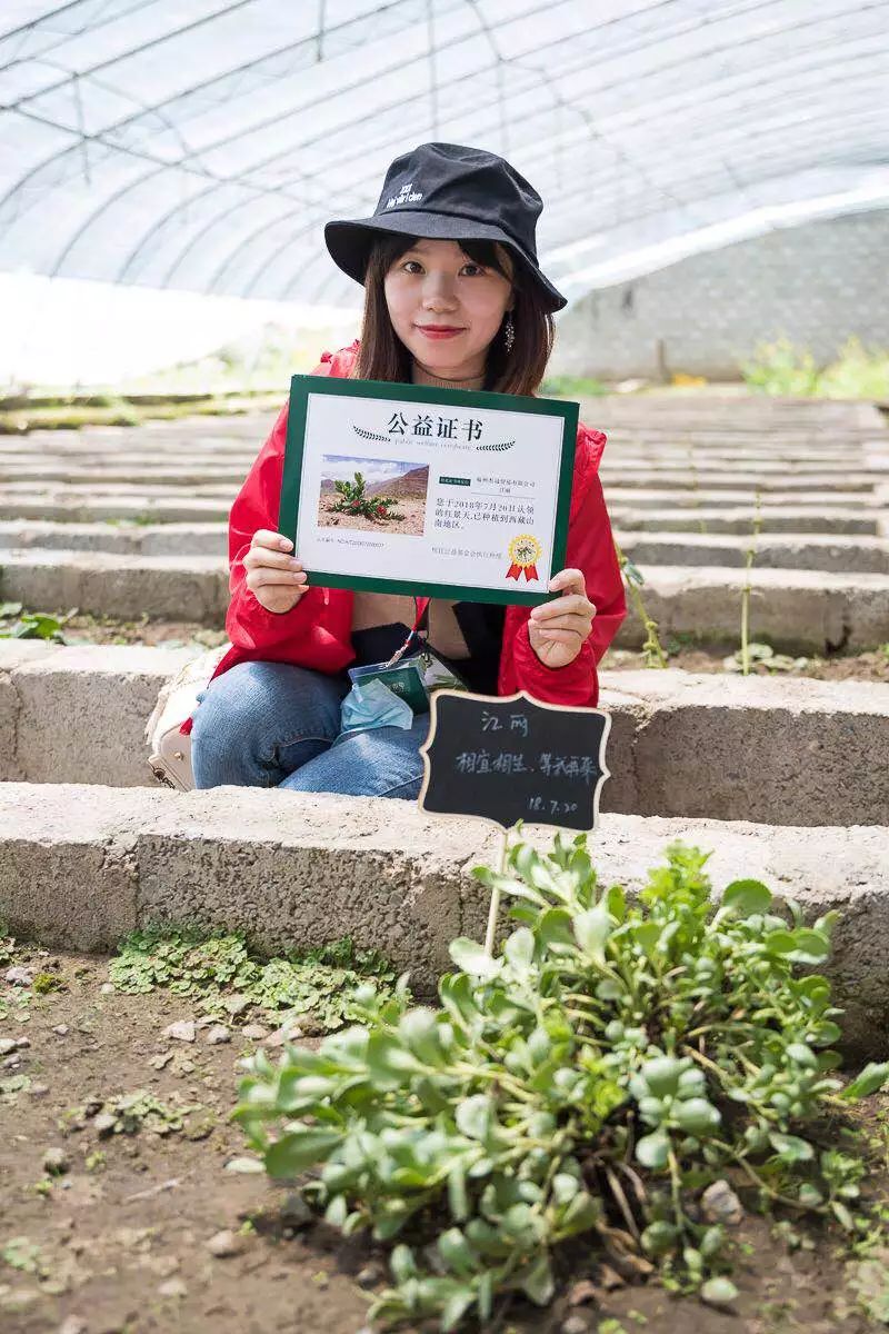 又是一个加班的夜晚放松一下心情,又是一个加班的周末