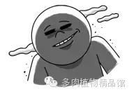 养肉八年的韩国大叔,给肉友们的小建议多肉植物精品馆昨天