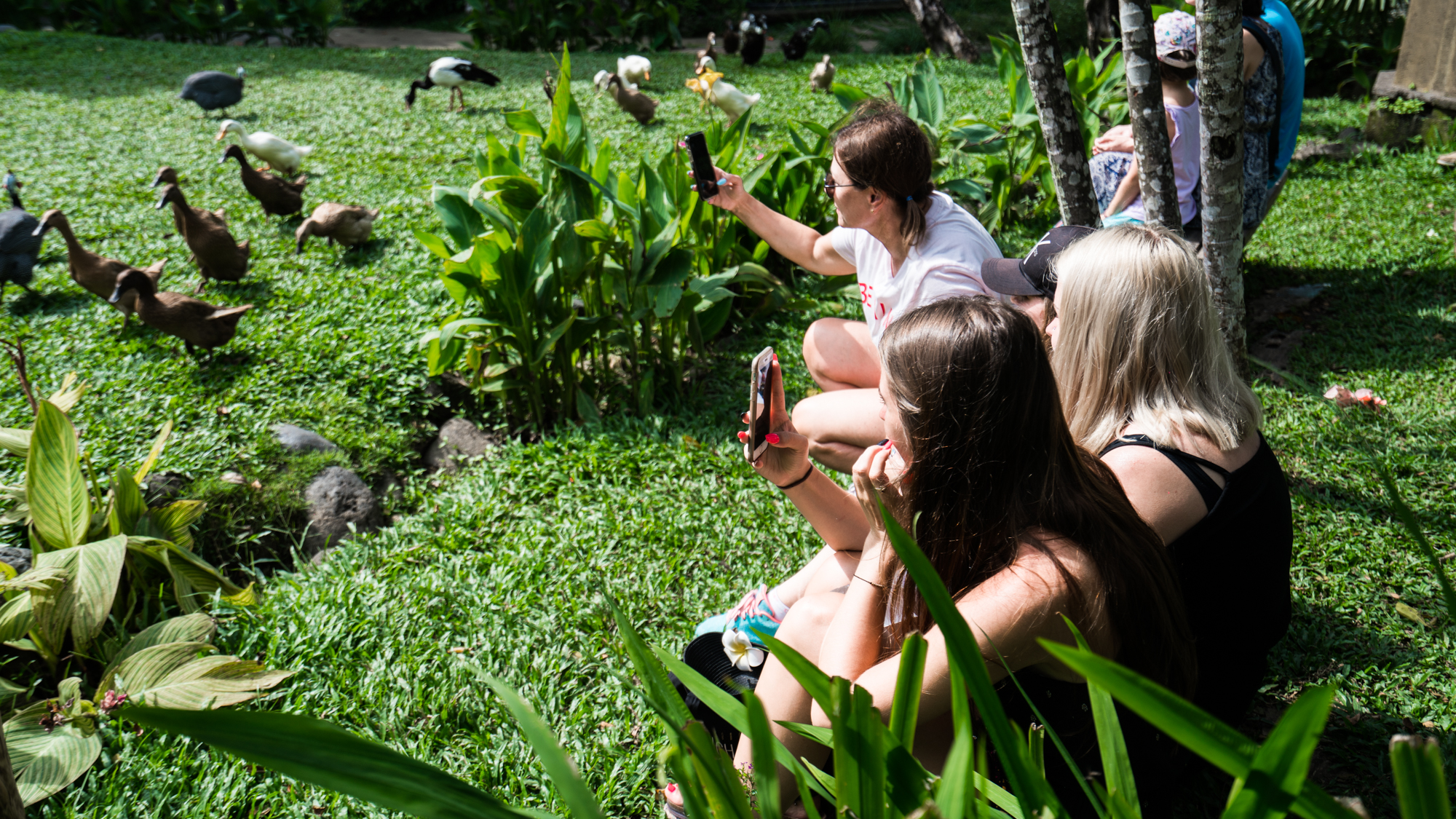去巴厘岛跟团好不好,巴厘岛跟团游最佳攻略