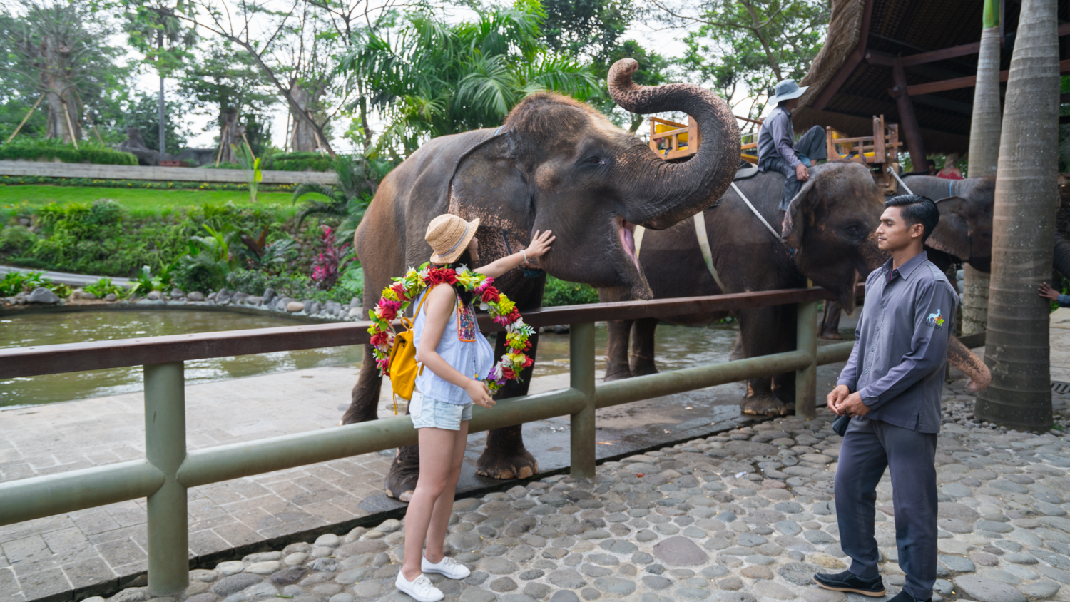 去巴厘岛跟团好不好,巴厘岛跟团游最佳攻略