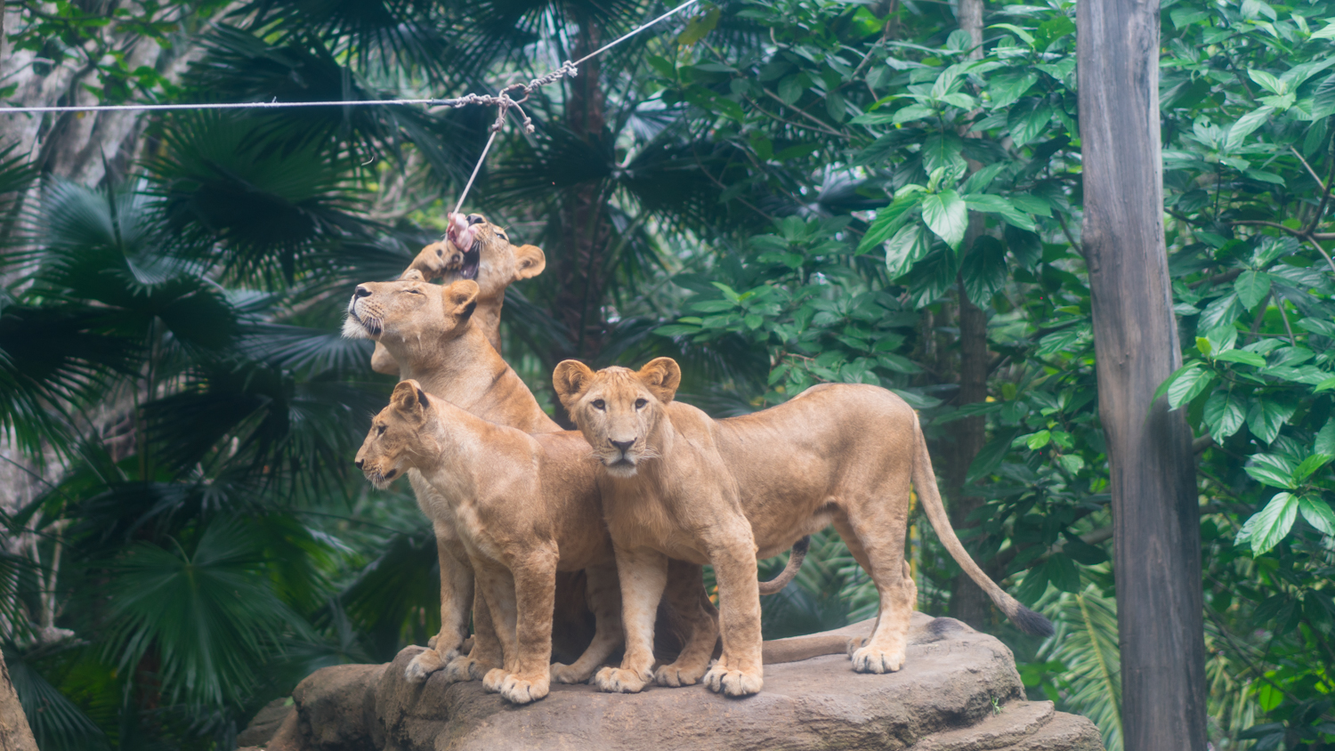 去巴厘岛跟团好不好,巴厘岛跟团游最佳攻略