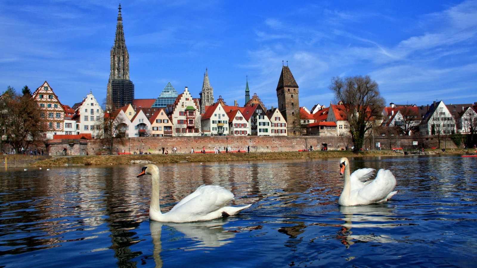 德国街上偶遇茅台酒厂,价格竟然比国内还便宜网友:代购回中国