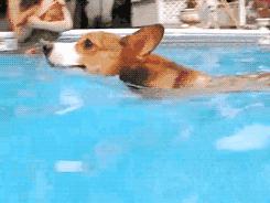 杭州24家游泳场所水质抽查不合格,曝光广东这127家泳池水质不合格