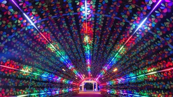 星海夜场摩天轮,花海夜场摩天轮