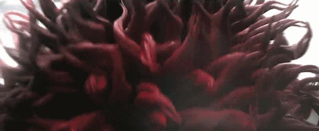 金龙显灵，白猿咆哮，徐克烧钱的特效背后大有讲究