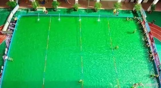 游泳是中小学的必修课吗,游泳是学校综合实践活动吗