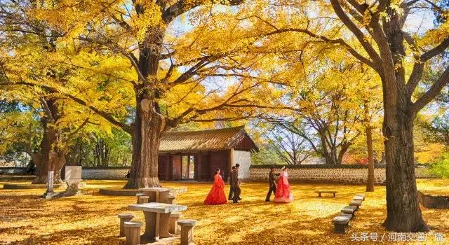 太赞!郑州人可以坐火车出国啦!2天就能到5国,沿途一路风景美食