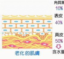 任何护肤品7天适应14天吸收,护肤品用那么多步骤真的会吸收吗