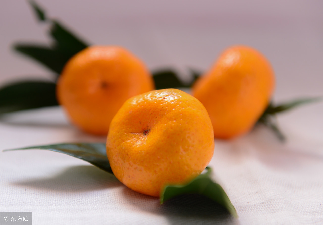 2016年柑橘水果行情分析,广西今日柑橘市场行情