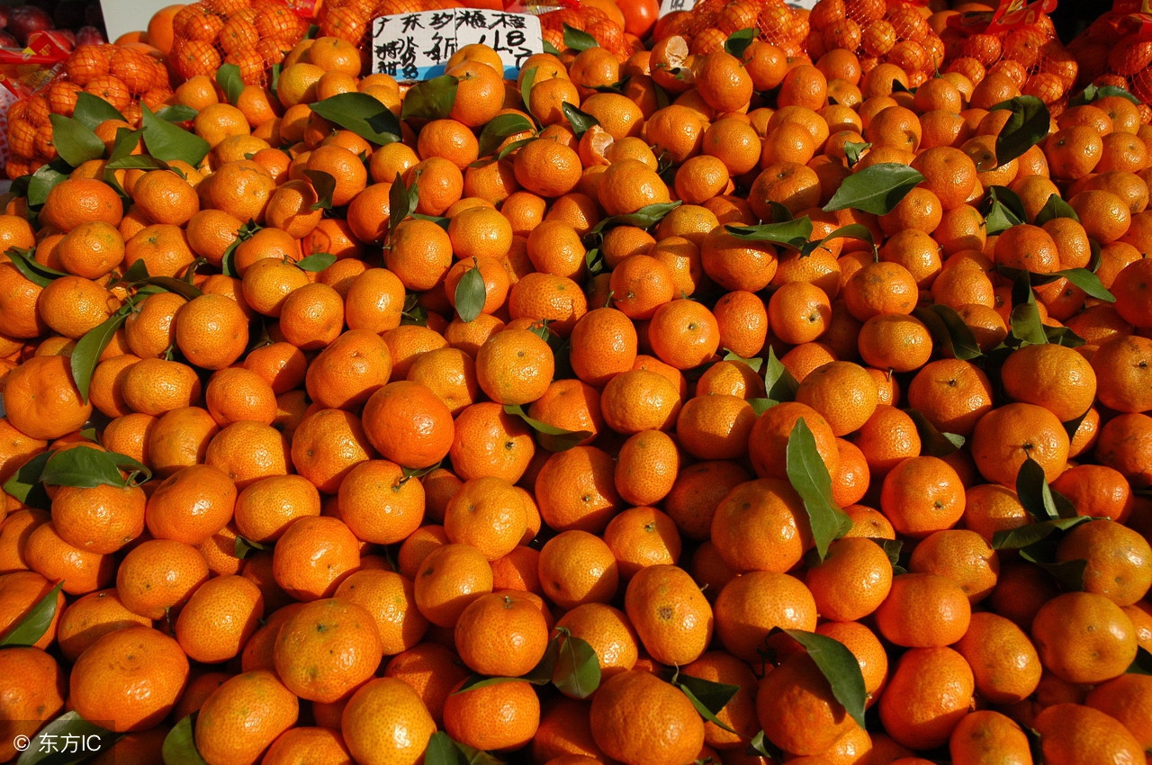 2016年柑橘水果行情分析,广西今日柑橘市场行情