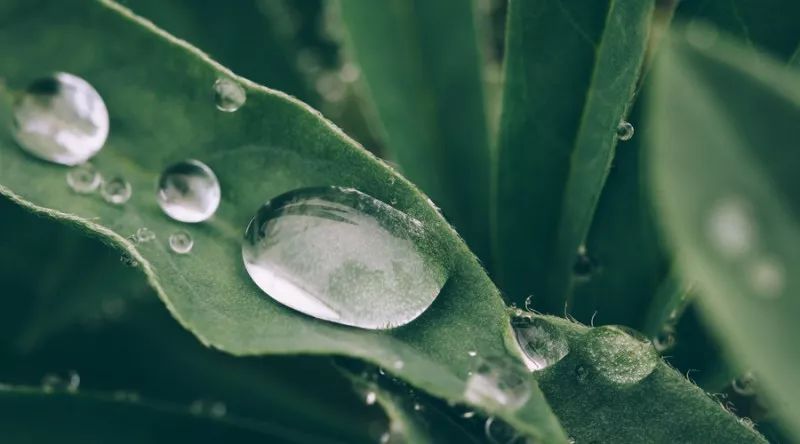 怎么去除体内多余的水分,怎样去除体内多余的水