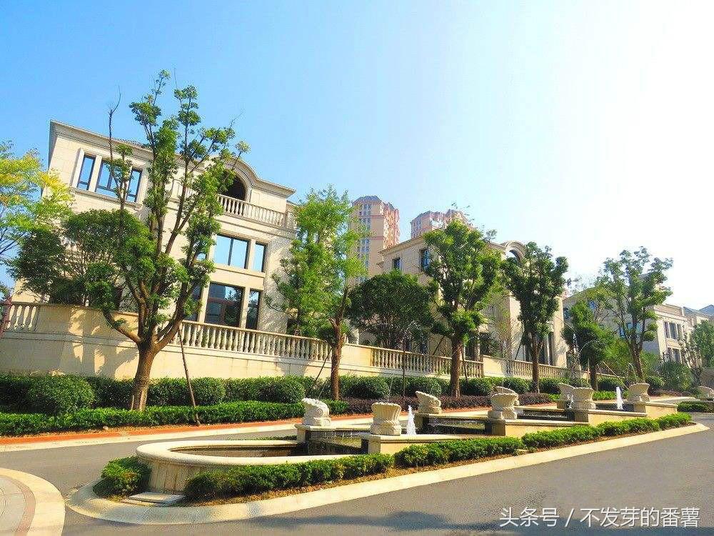 随州城市评价,随州最没存在感的城市