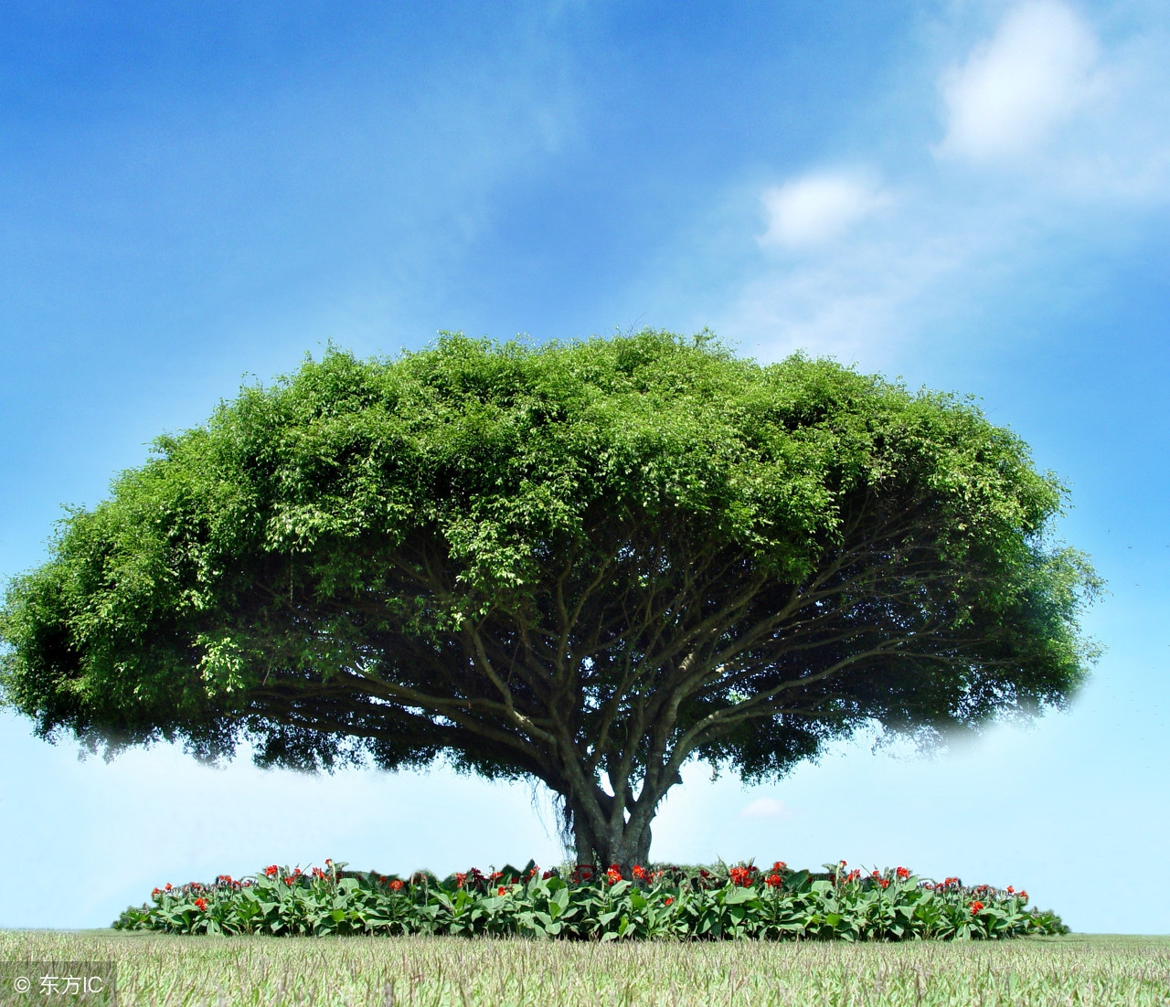 华晨宇最好听的几首歌是什么名字,华晨宇最好听的七首歌