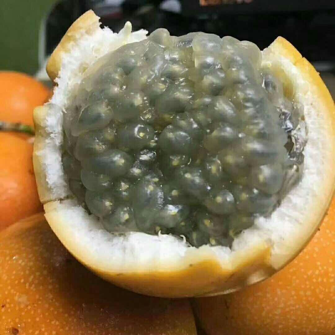 解决种植难题,种出大家都吃得上的黄金百香果,果美味甜产量高