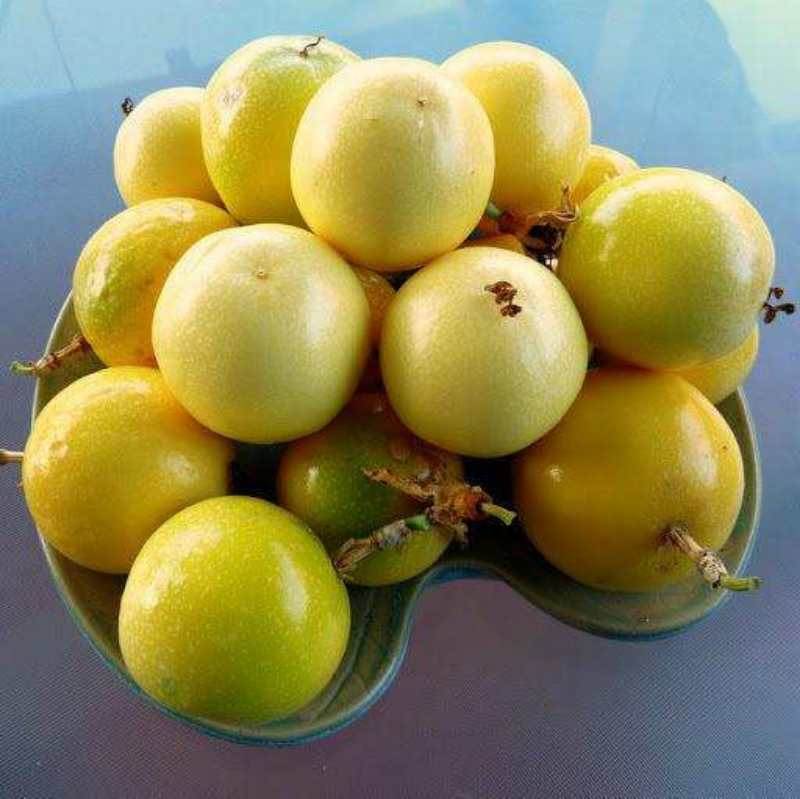 解决种植难题,种出大家都吃得上的黄金百香果,果美味甜产量高