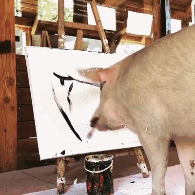 艺术在流浪,艺术在流浪小丑在殿堂是什么意思